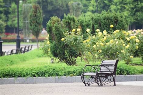 和解離婚で離婚劇が終結する
