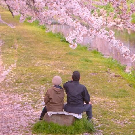 熟年夫婦の離婚