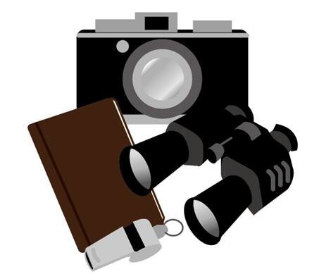 不倫浮気の離婚相談は探偵がベスト